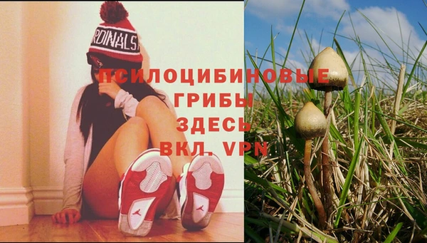 мет Иннополис