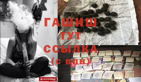 PSILOCYBIN Инта