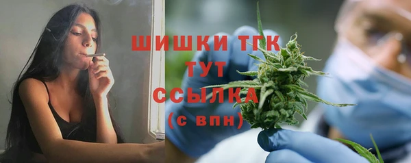 PSILOCYBIN Инта