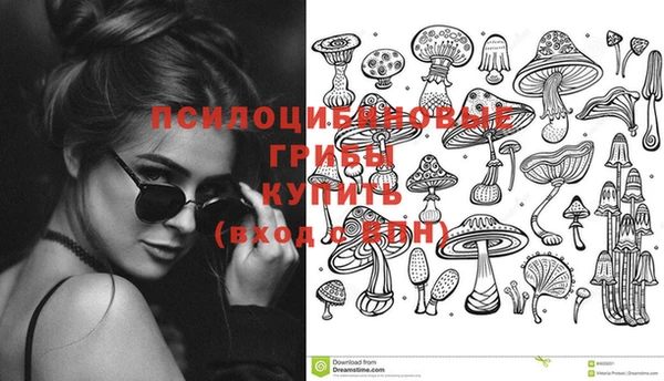 марки nbome Инсар