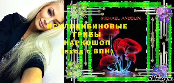 марки nbome Инсар