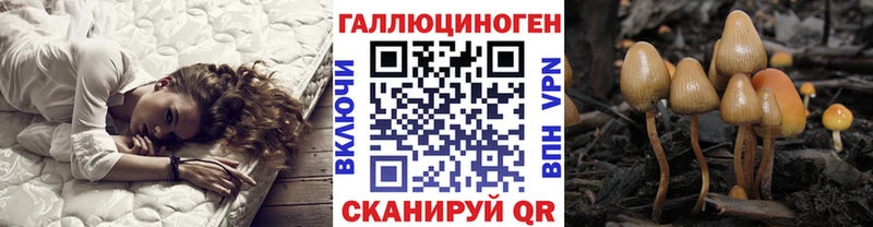 Купить где  Лесосибирск  Галлюциногенные грибы Psilocybe 
